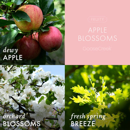 Apple Blossoms 3-Wick Candle