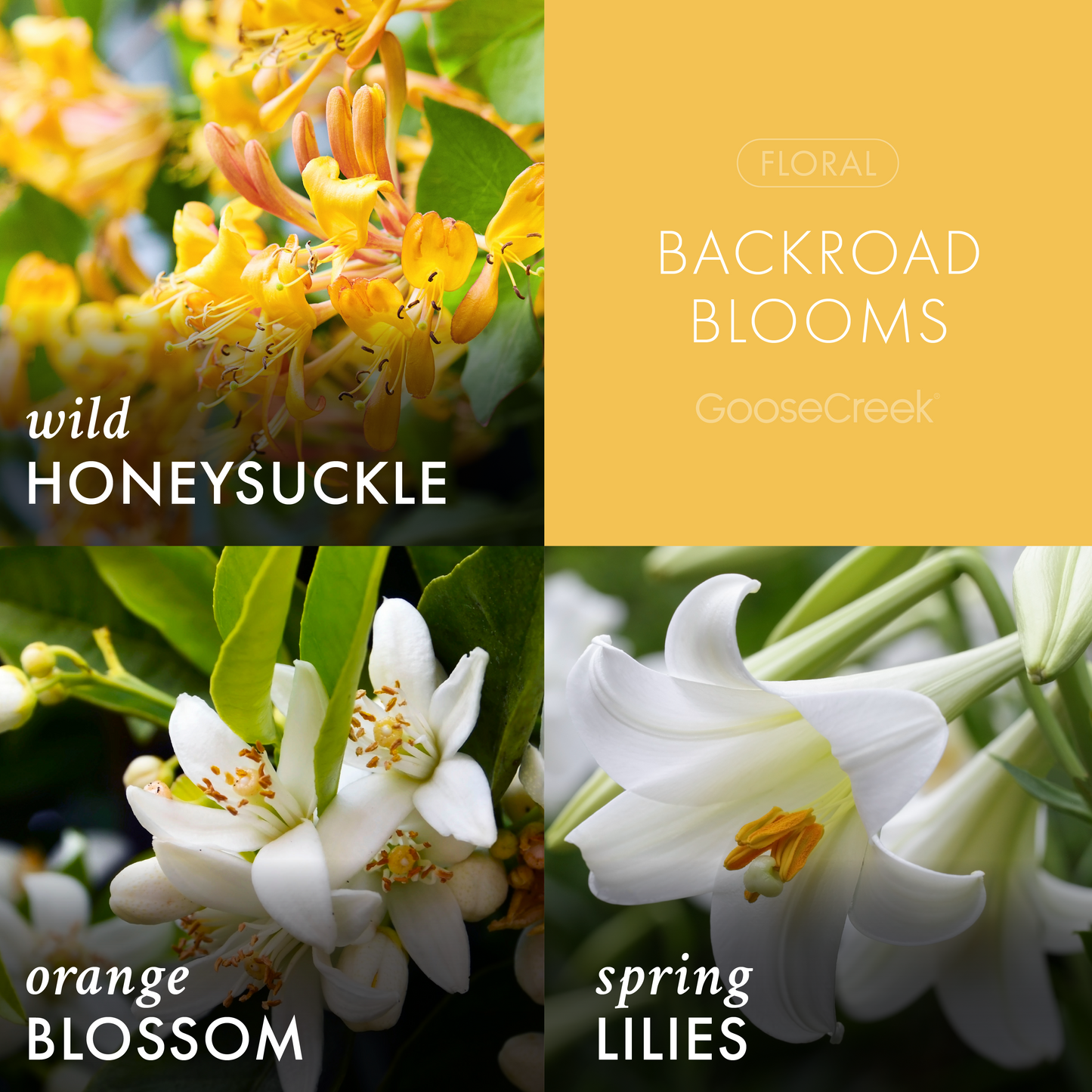 Backroad Blooms 3-Wick Candle