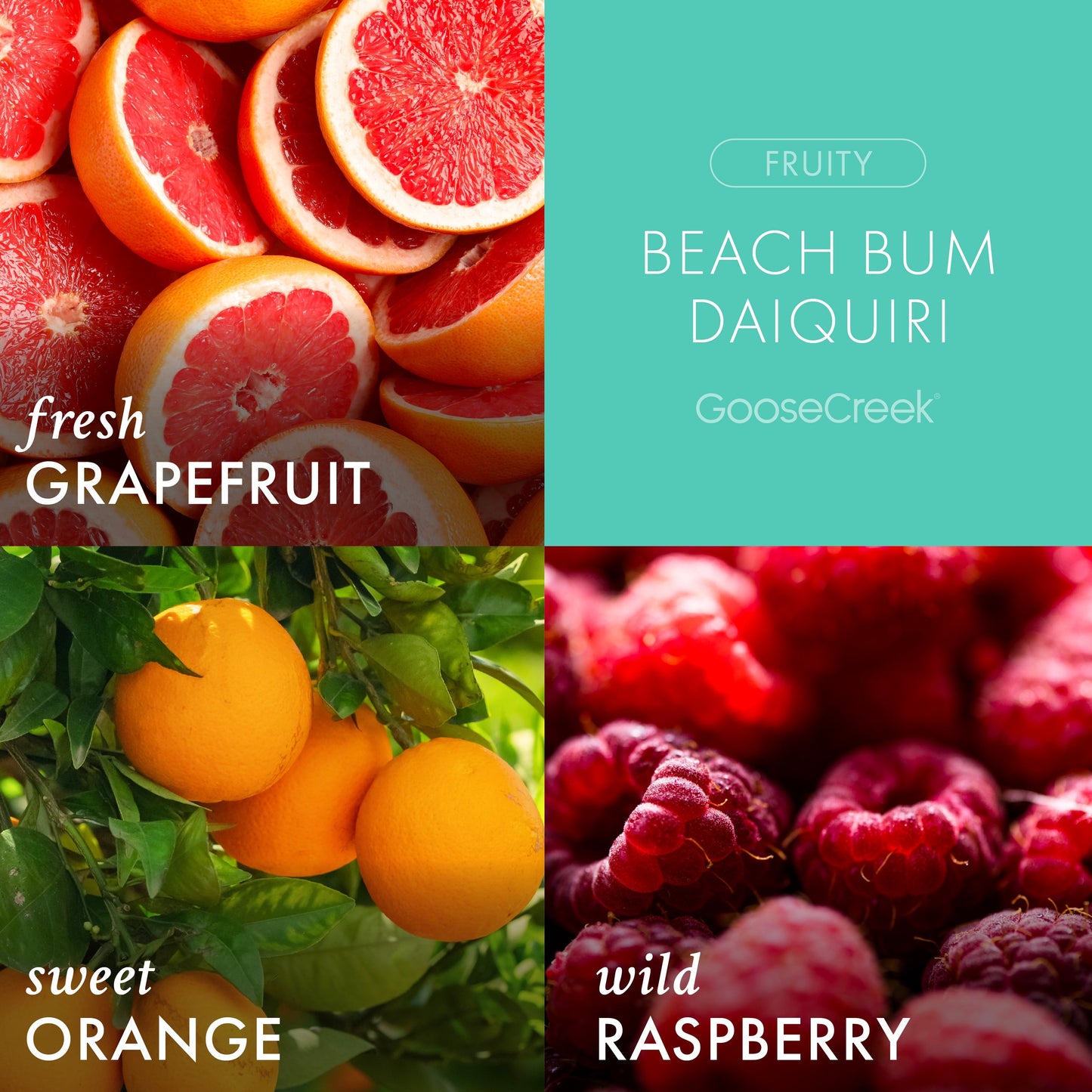 Beach Bum Daiquiri 3-Wick Candle