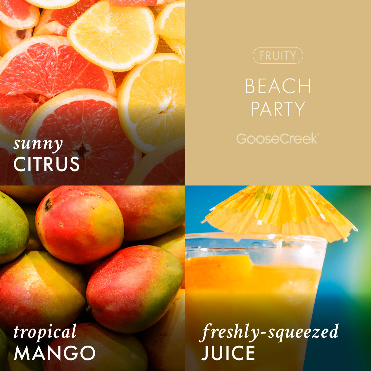 Beach Party Wax Melt