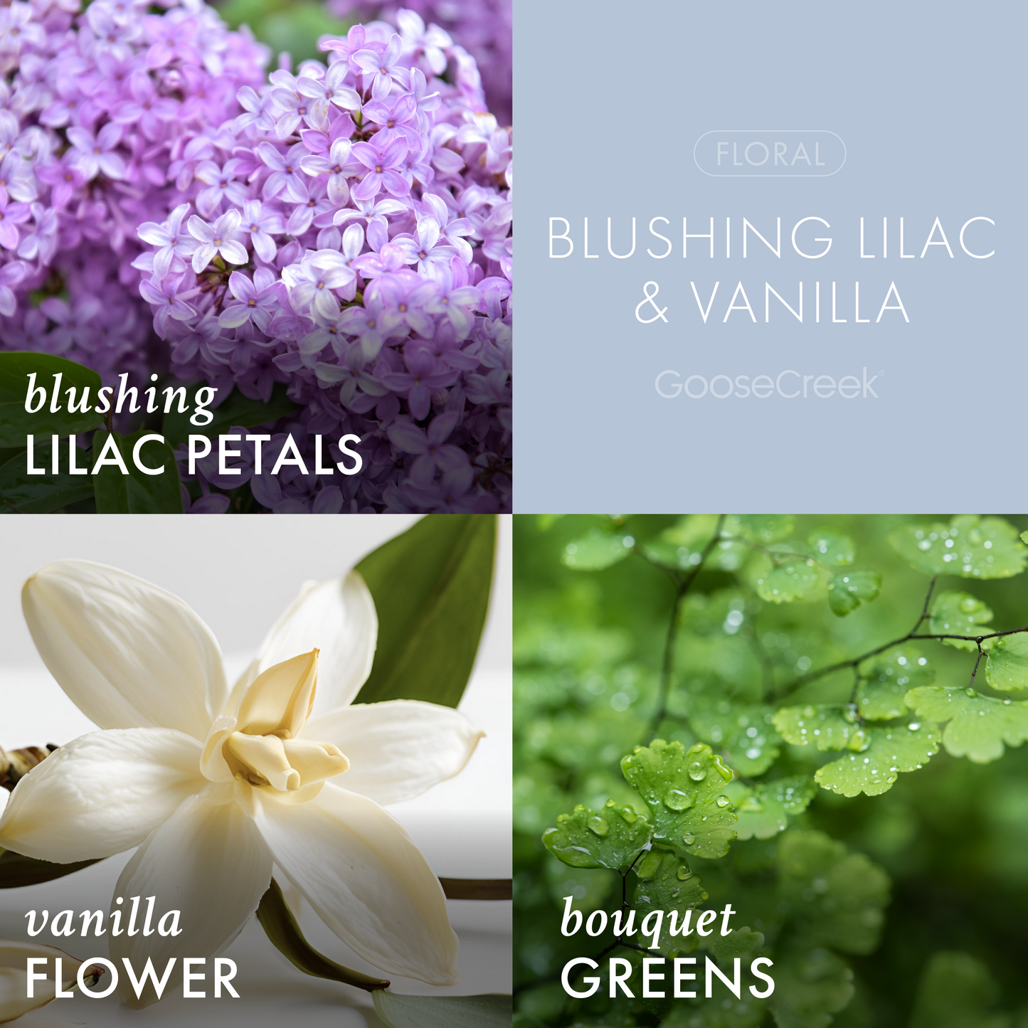 Blushing Lilac & Vanilla Large 3-Wick Candle