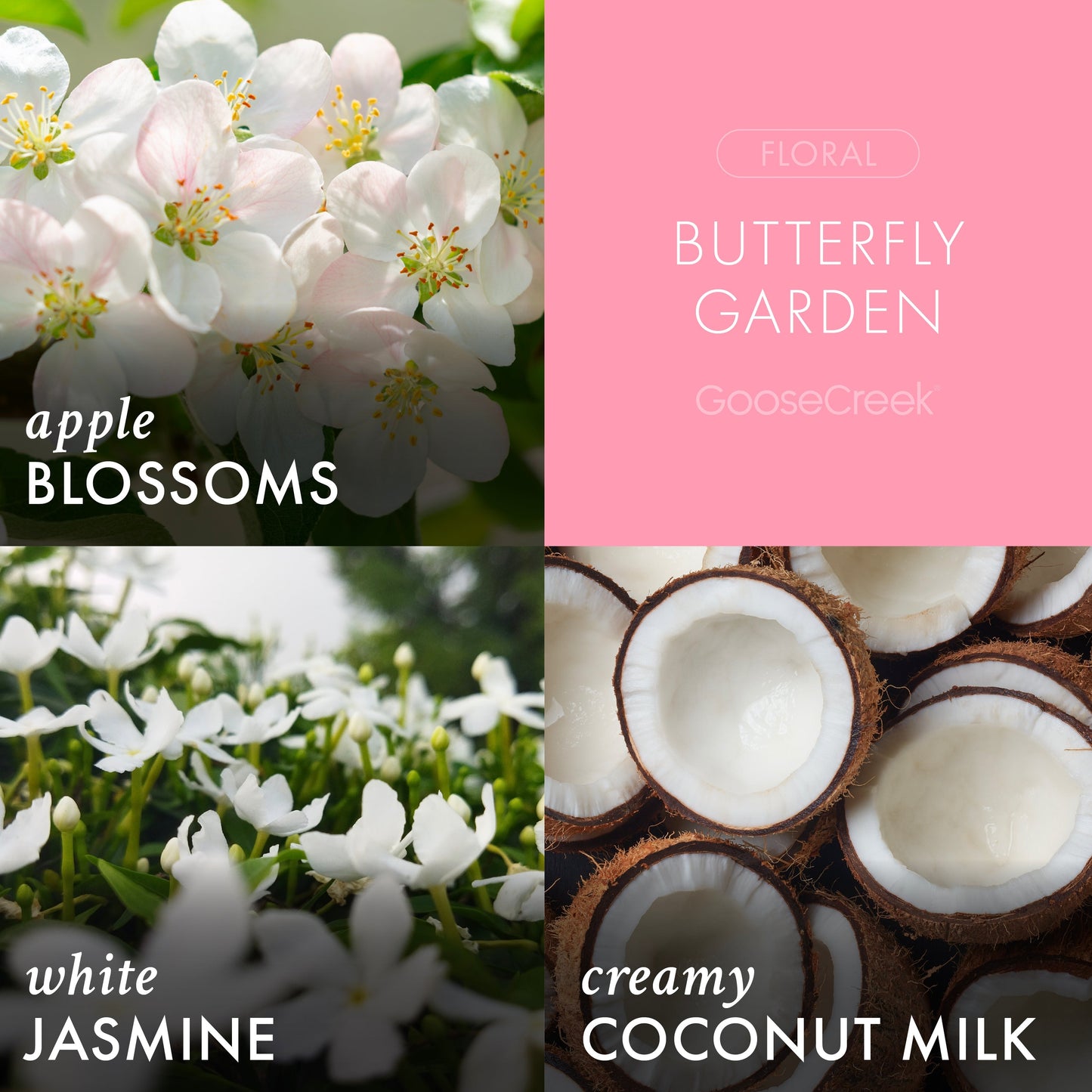 Butterfly Garden 3-Wick Candle