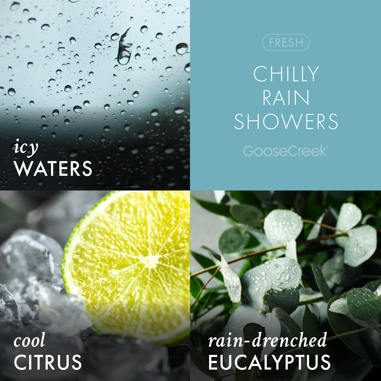 Chilly Rain Showers Lush Foaming Hand Soap
