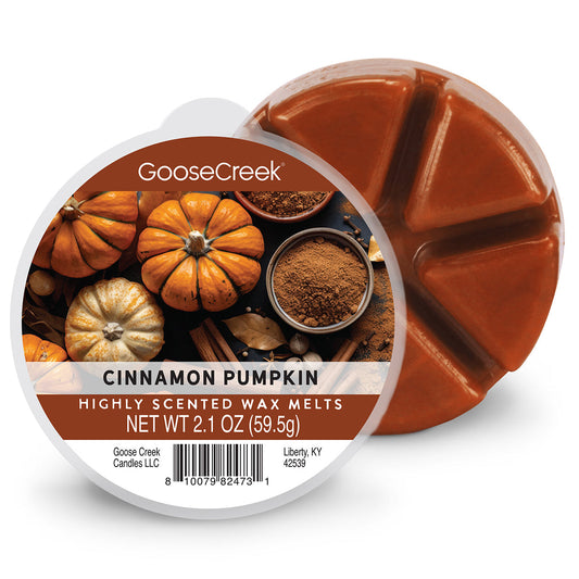 Cinnamon Pumpkin Wax Melt
