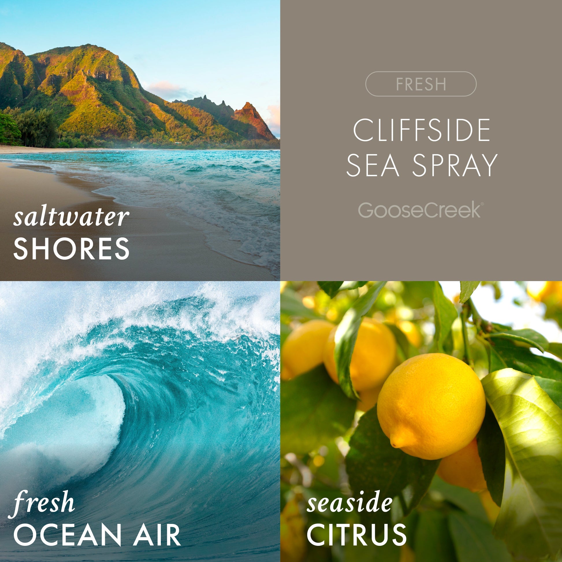 Cliffside Sea Spray Odor Eliminating Plug-in Refill