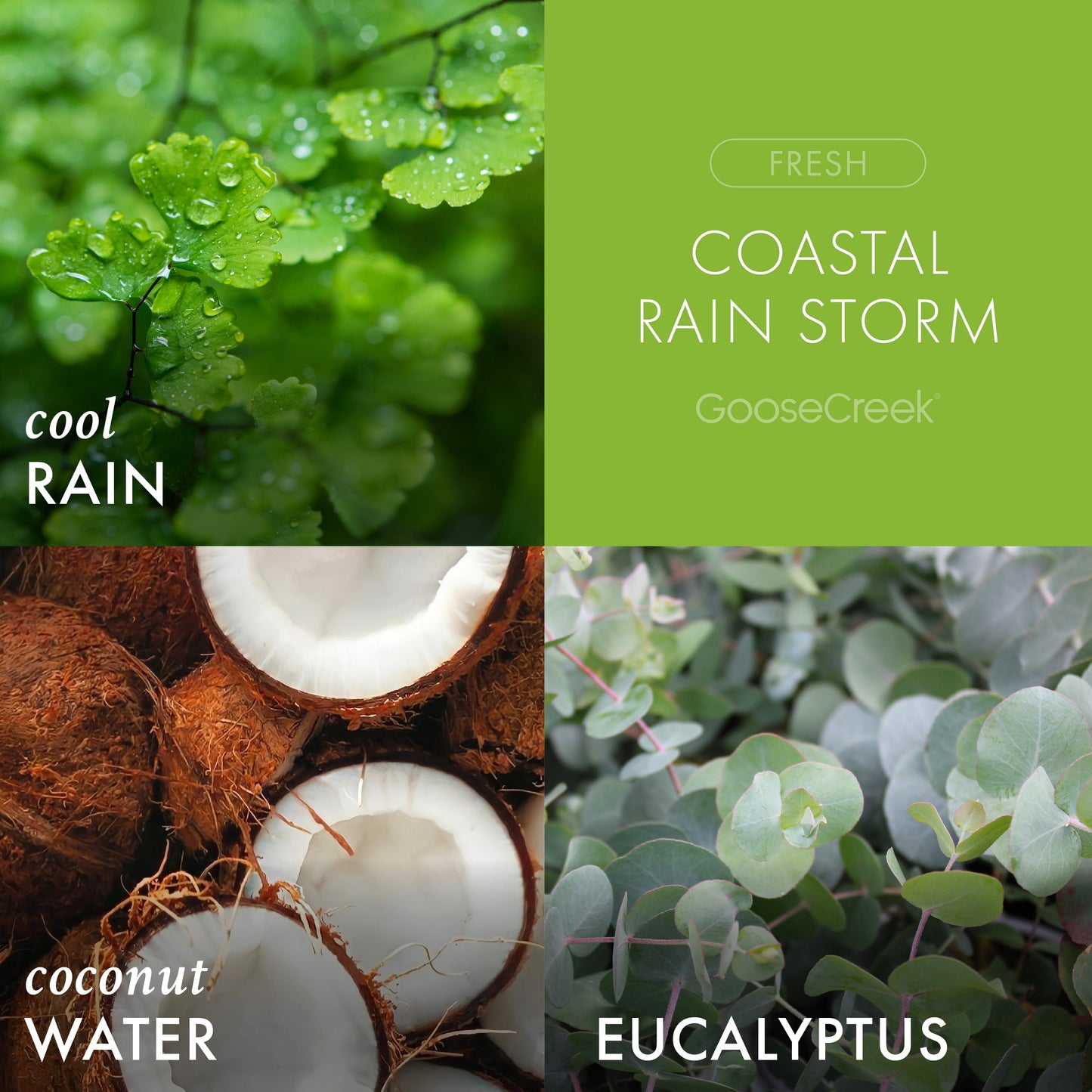 Coastal Rain Storm 3-Wick Candle