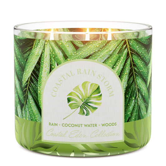Coastal Rain Storm 3-Wick Candle