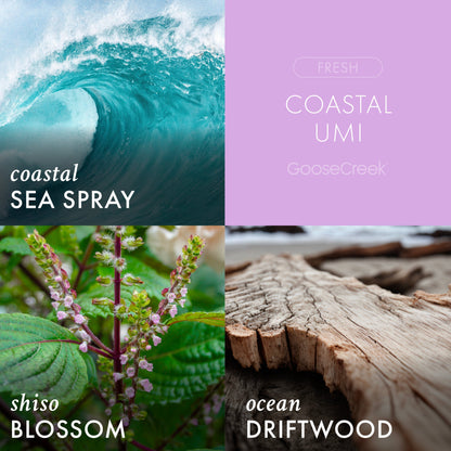 Coastal Umi 3-Wick Candle