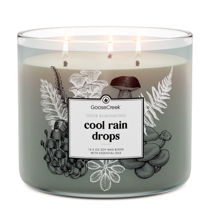Cool Rain Drops Odor Eliminating 3-Wick Candle