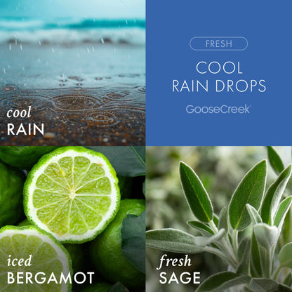 Cool Rain Drops Odor Eliminating Plug-in Refill