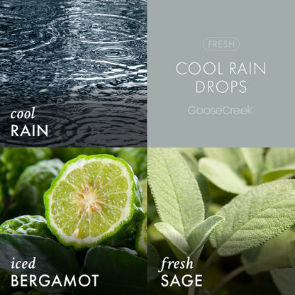 Cool Rain Drops Odor Eliminating Wax Melt