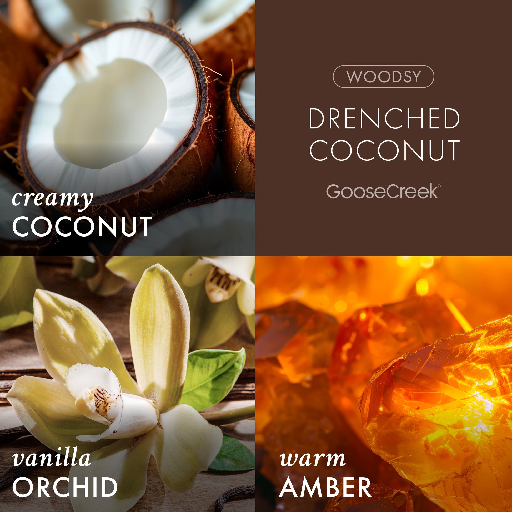 Drenched Coconut Odor Eliminating Wax Melt