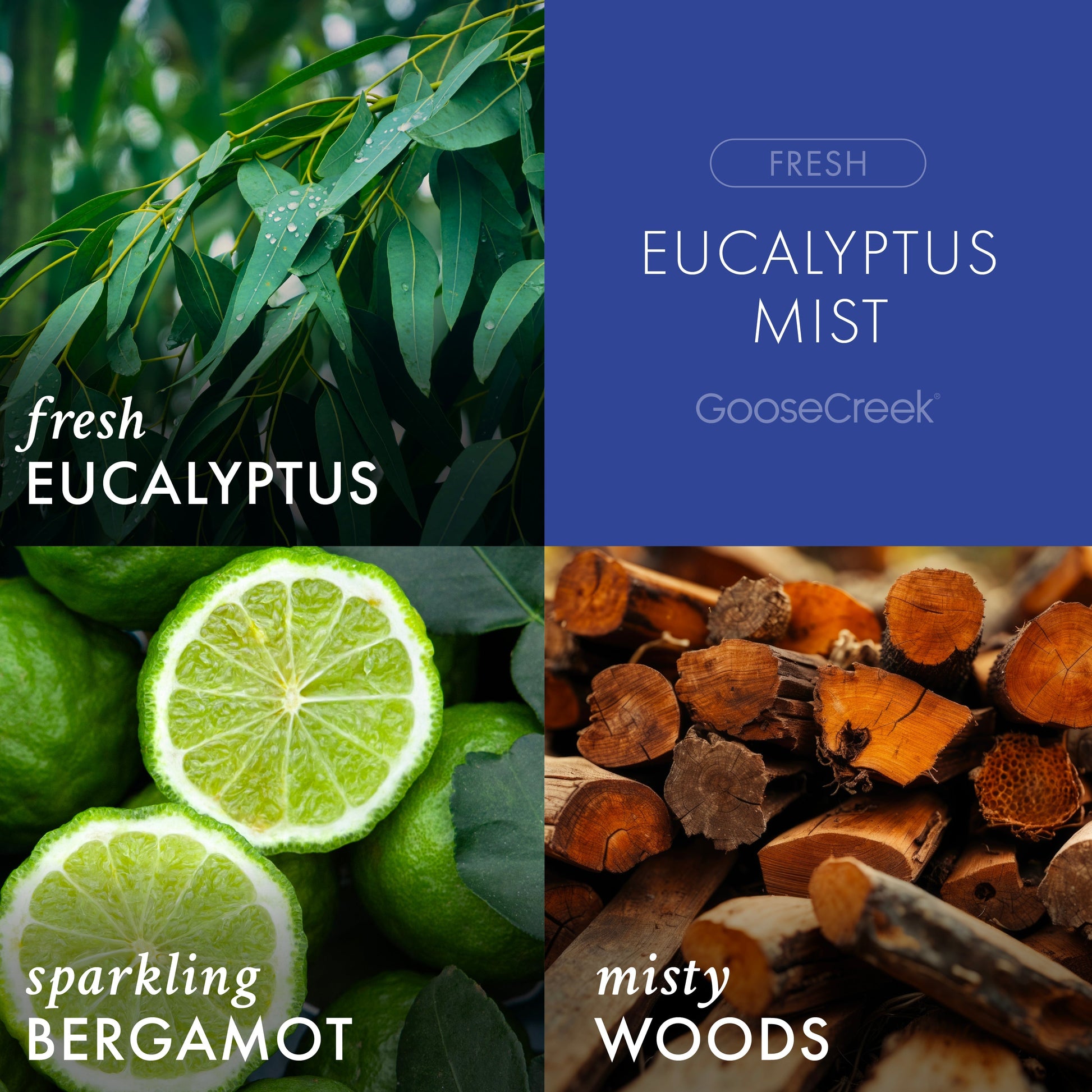 Eucalyptus Mist Odor Eliminating Wax Melt