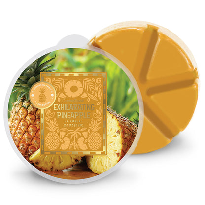 Exhilarating Pineapple Wax Melt