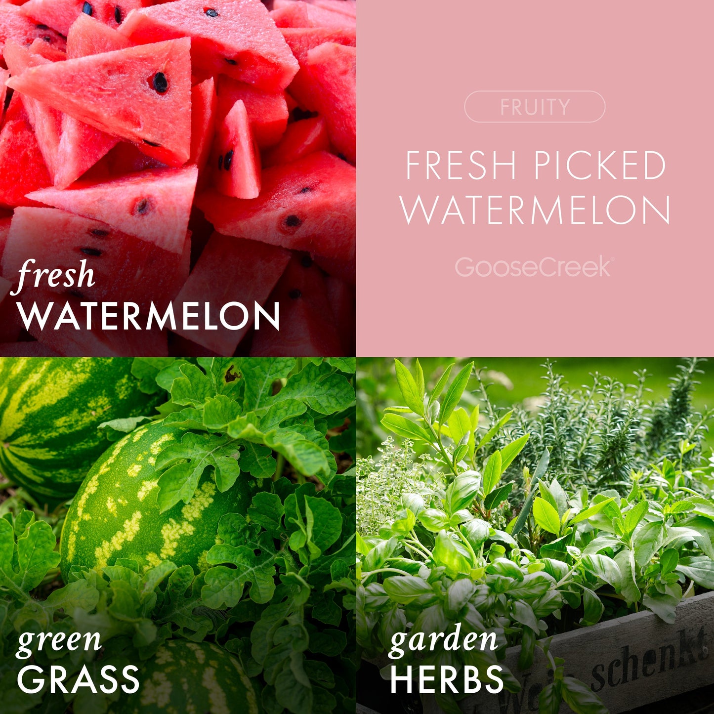 Fresh Picked Watermelon 3-Wick Candle