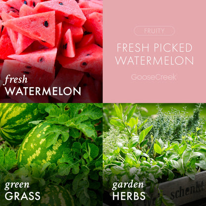 Fresh Picked Watermelon 3-Wick Candle