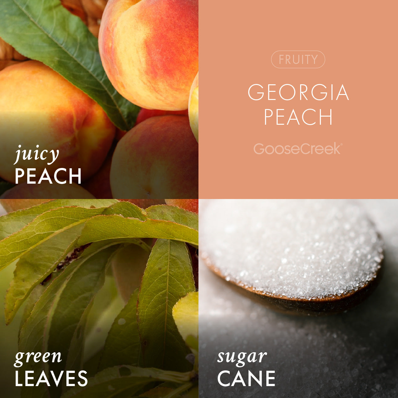 Georgia Peach Plug-In & Refill Bundle