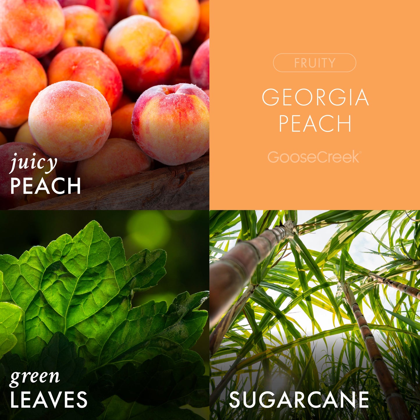 Georgia Peach Plug-in Refill