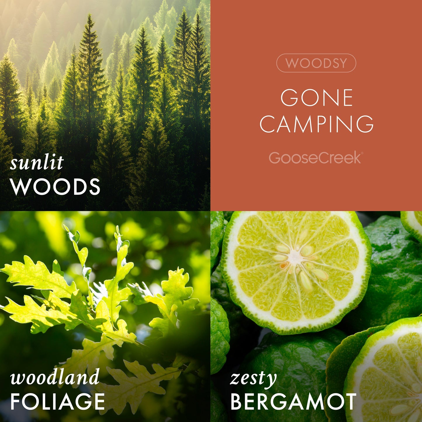 Gone Camping 3-Wick Candle