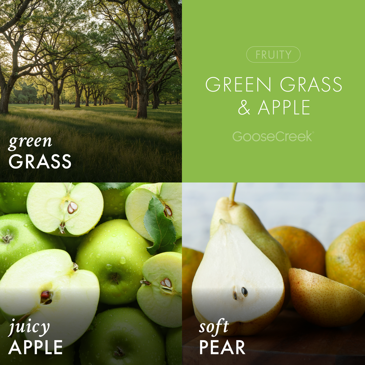 Green Grass & Apple 3-Wick Candle