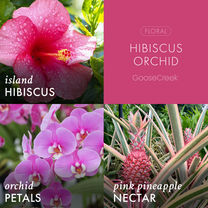 Hibiscus Orchid 3-Wick Candle