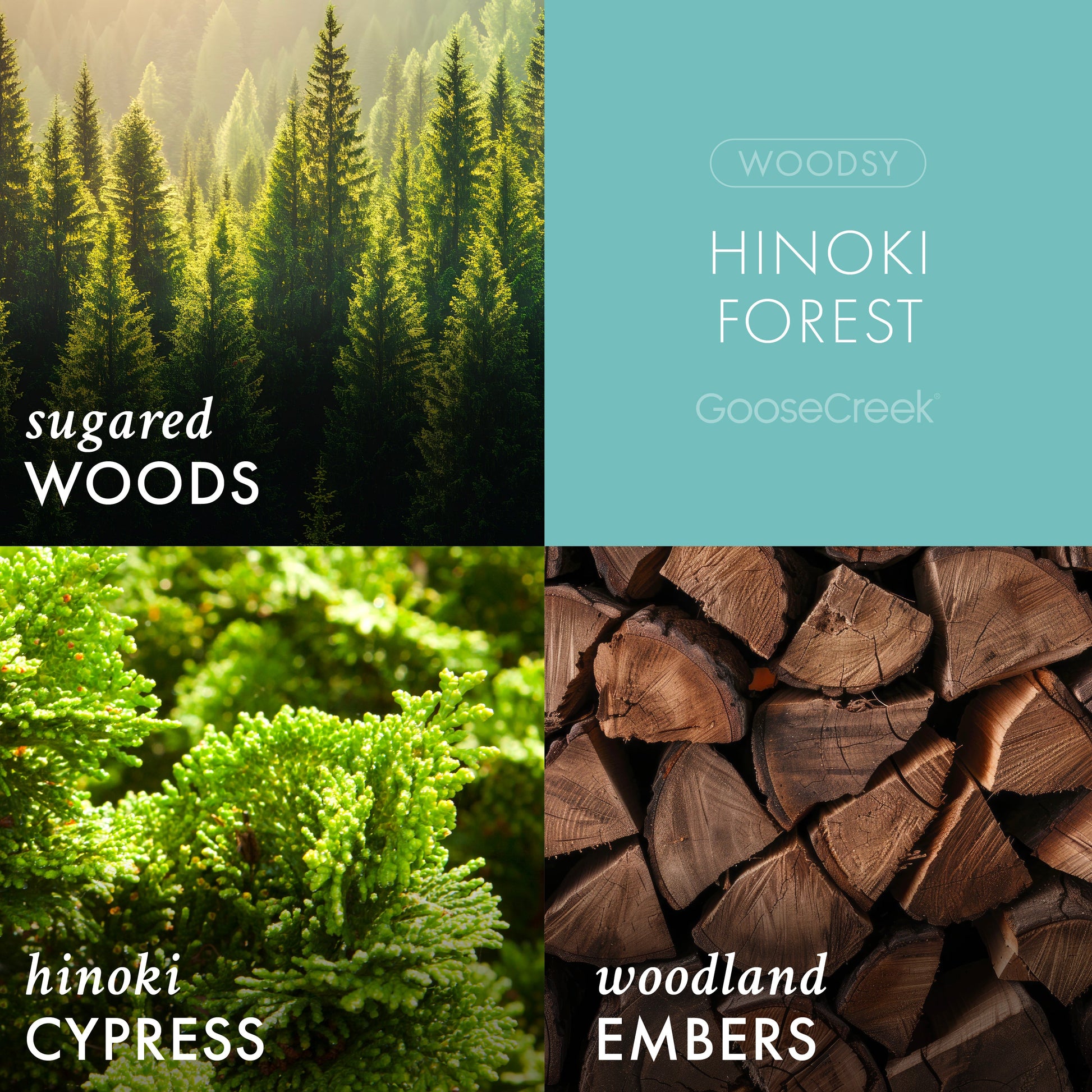 Hinoki Forest 3-Wick Candle