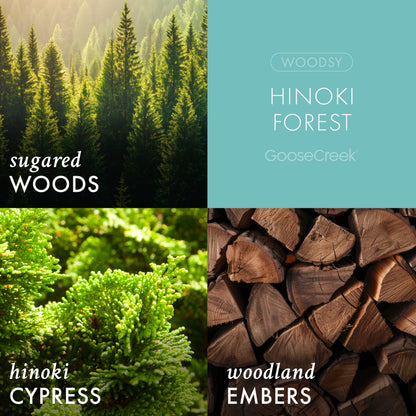 Hinoki Forest 3-Wick Candle