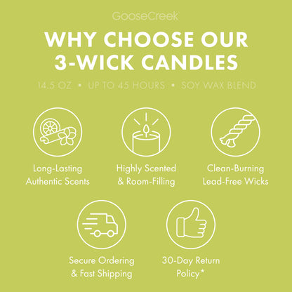 Honeydew Melon 3-Wick Candle