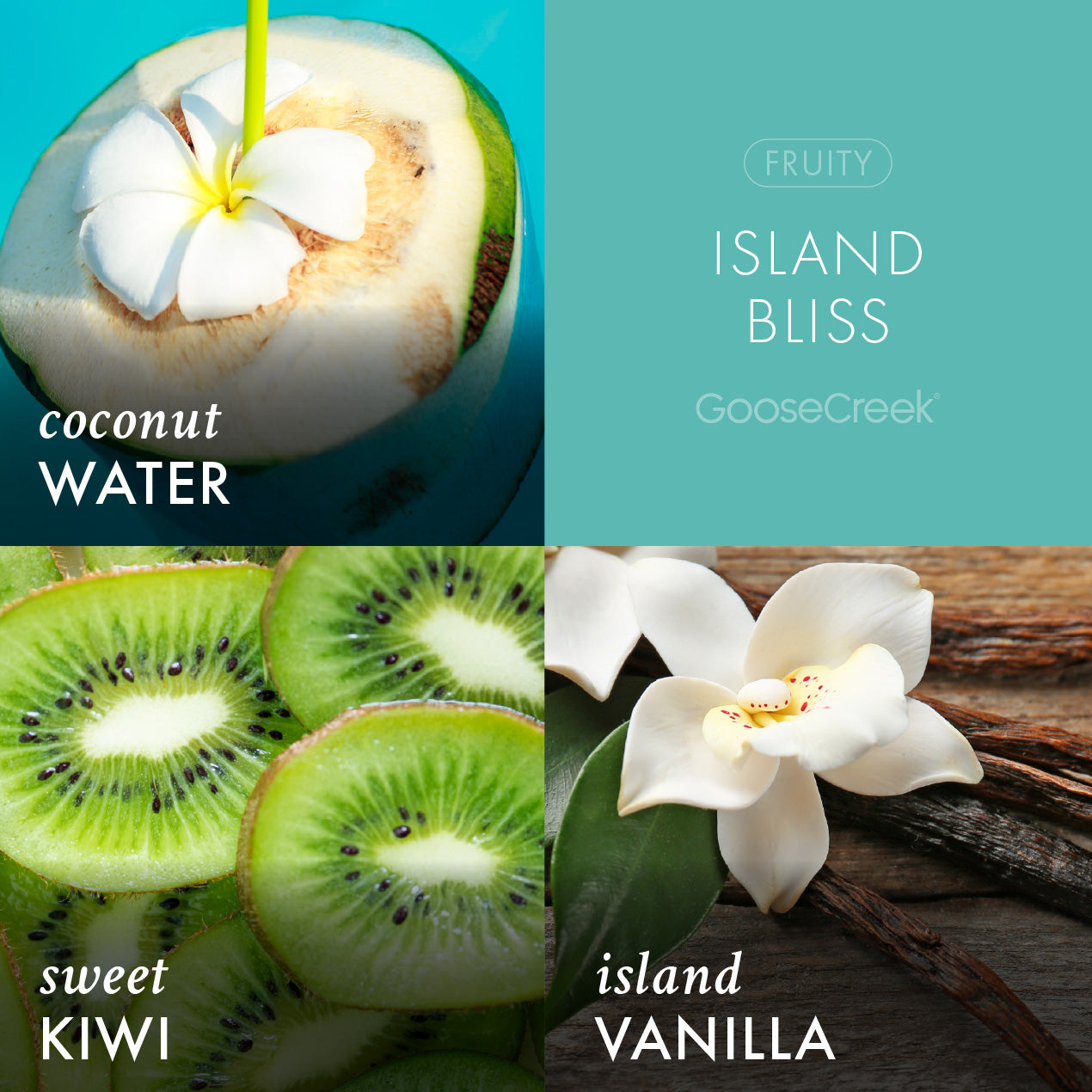 Island Bliss Odor Eliminating Wax Melt