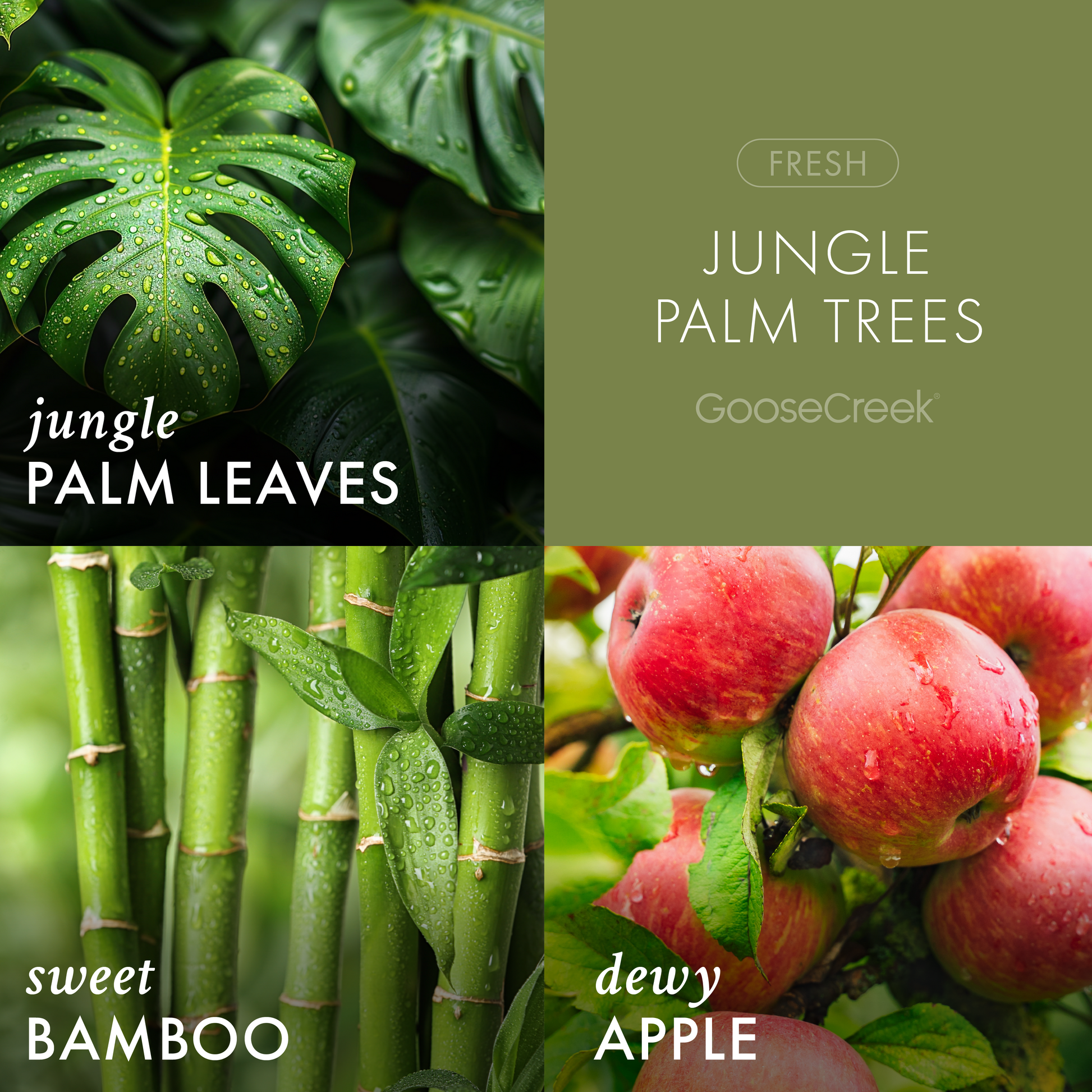 Jungle Palm Trees 3-Wick Candle