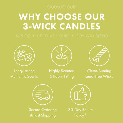 Key Lime Cake Pop 3-Wick Candle