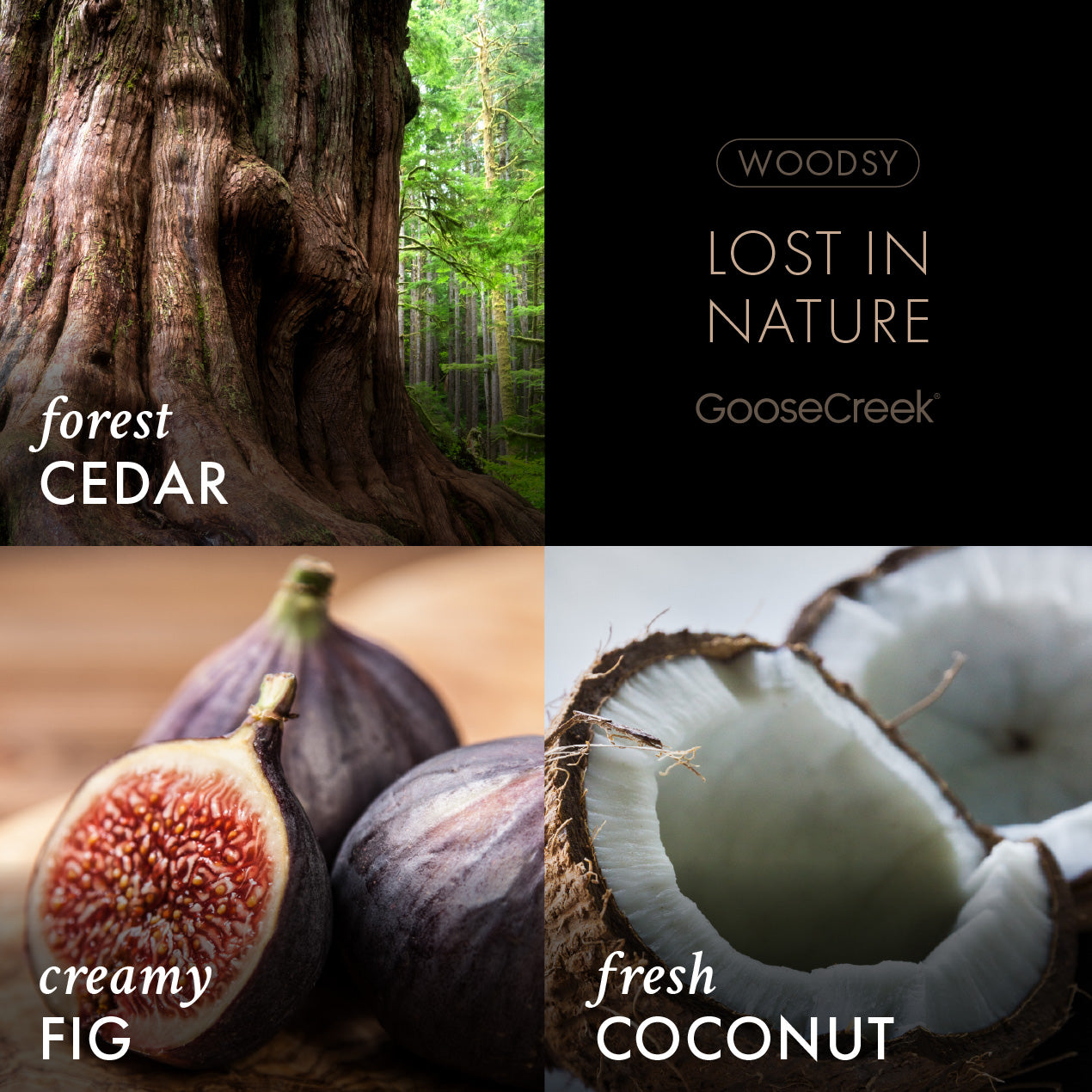 Lost In Nature - Fine Fragrance Body Mist