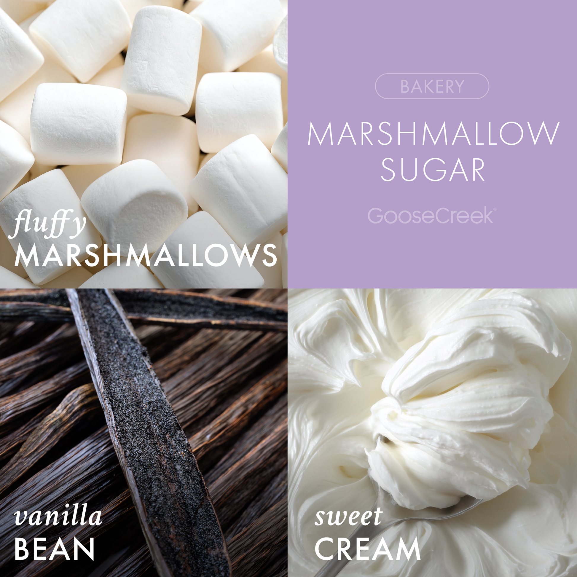 Marshmallow Sugar 3-Wick Candle