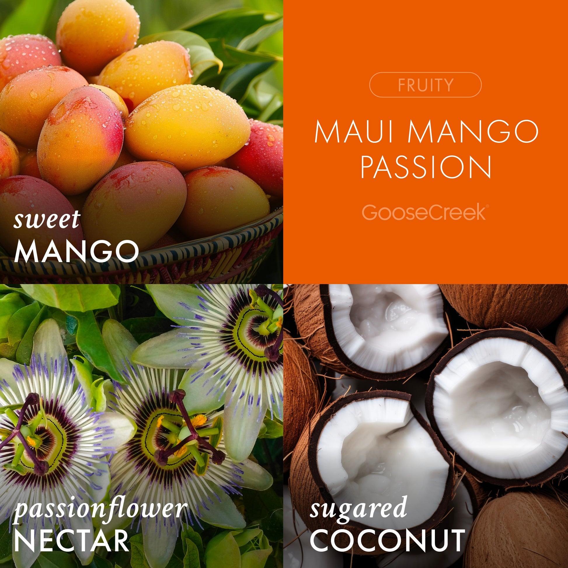 Maui Mango Passion 3-Wick Candle