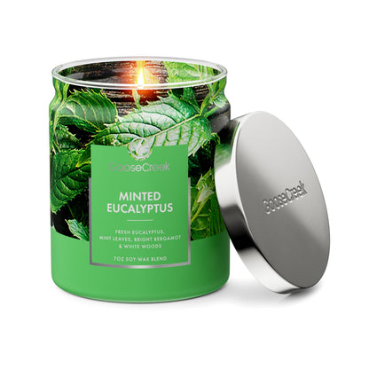 Minted Eucalyptus 7oz Single Wick Candle