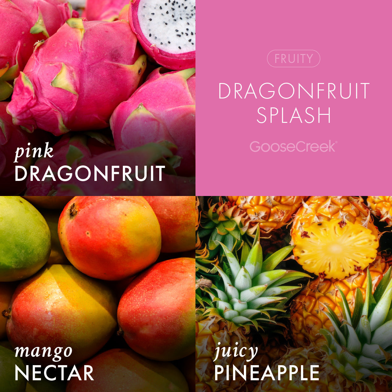 Odor Eliminating Dragonfruit Splash Plug-In & Refill Bundle