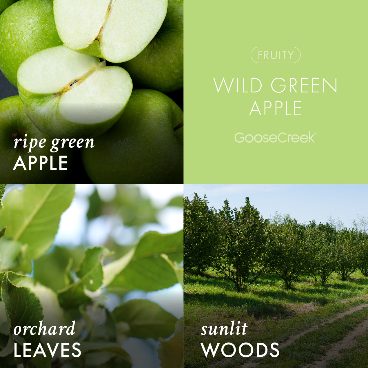 Odor Eliminating Wild Green Apple Plug-In & Refill Bundle