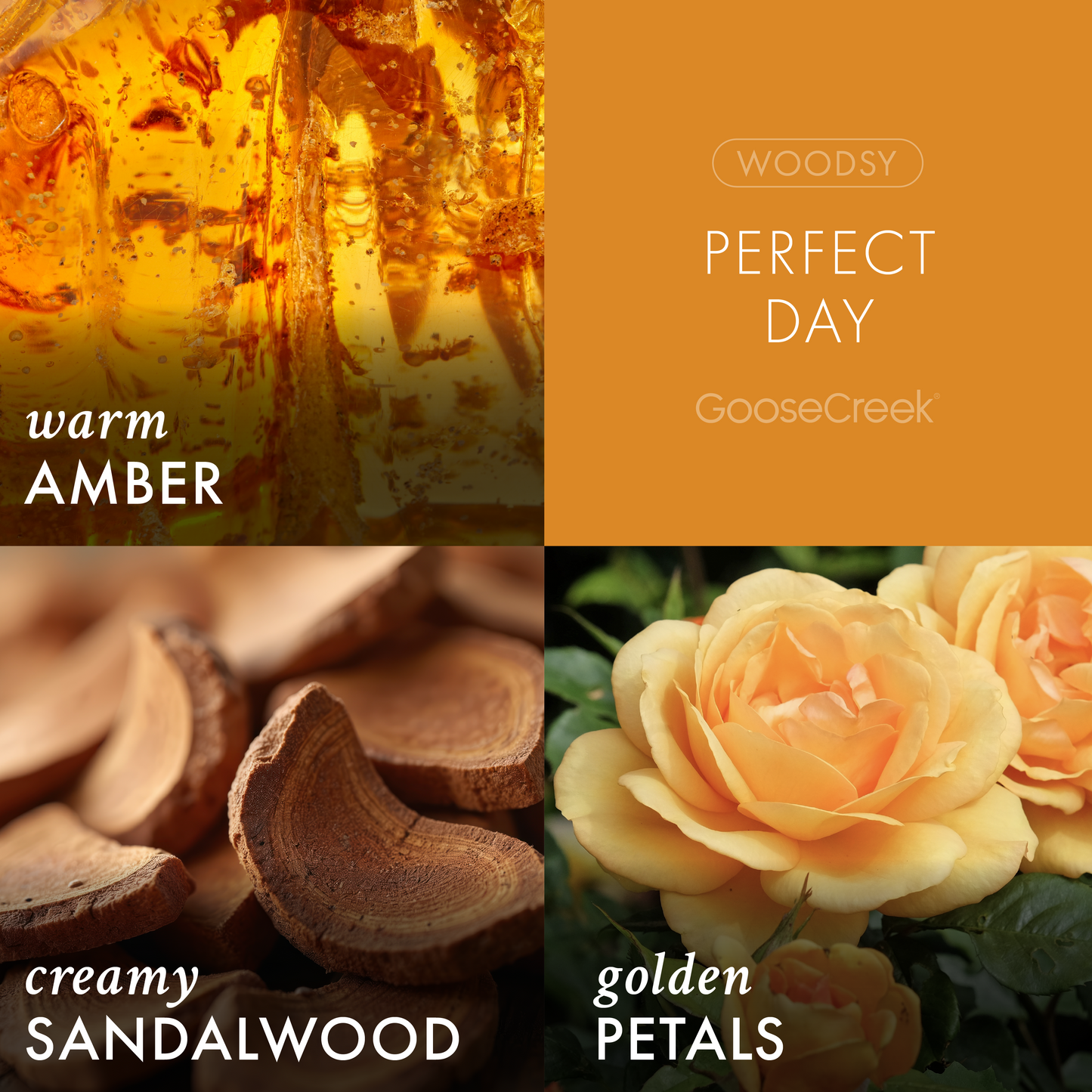 Perfect Day 3-Wick Candle