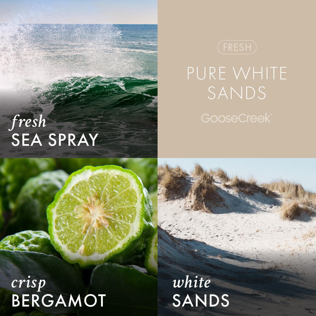 Pure White Sands Lush Foaming Hand Soap