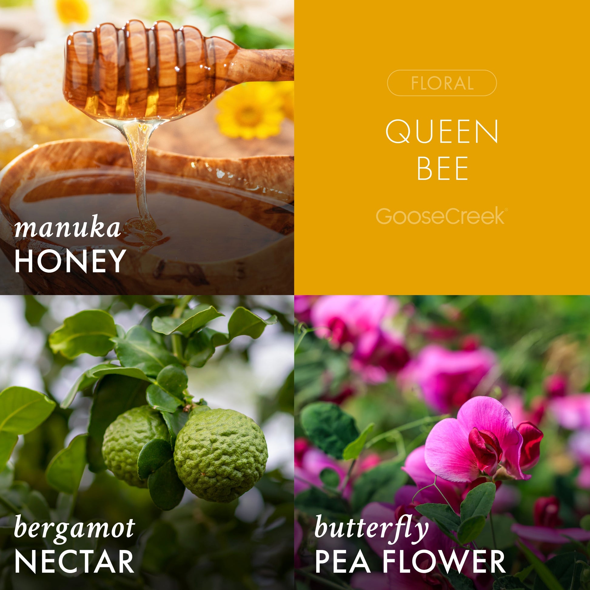 Queen Bee 3-Wick Candle