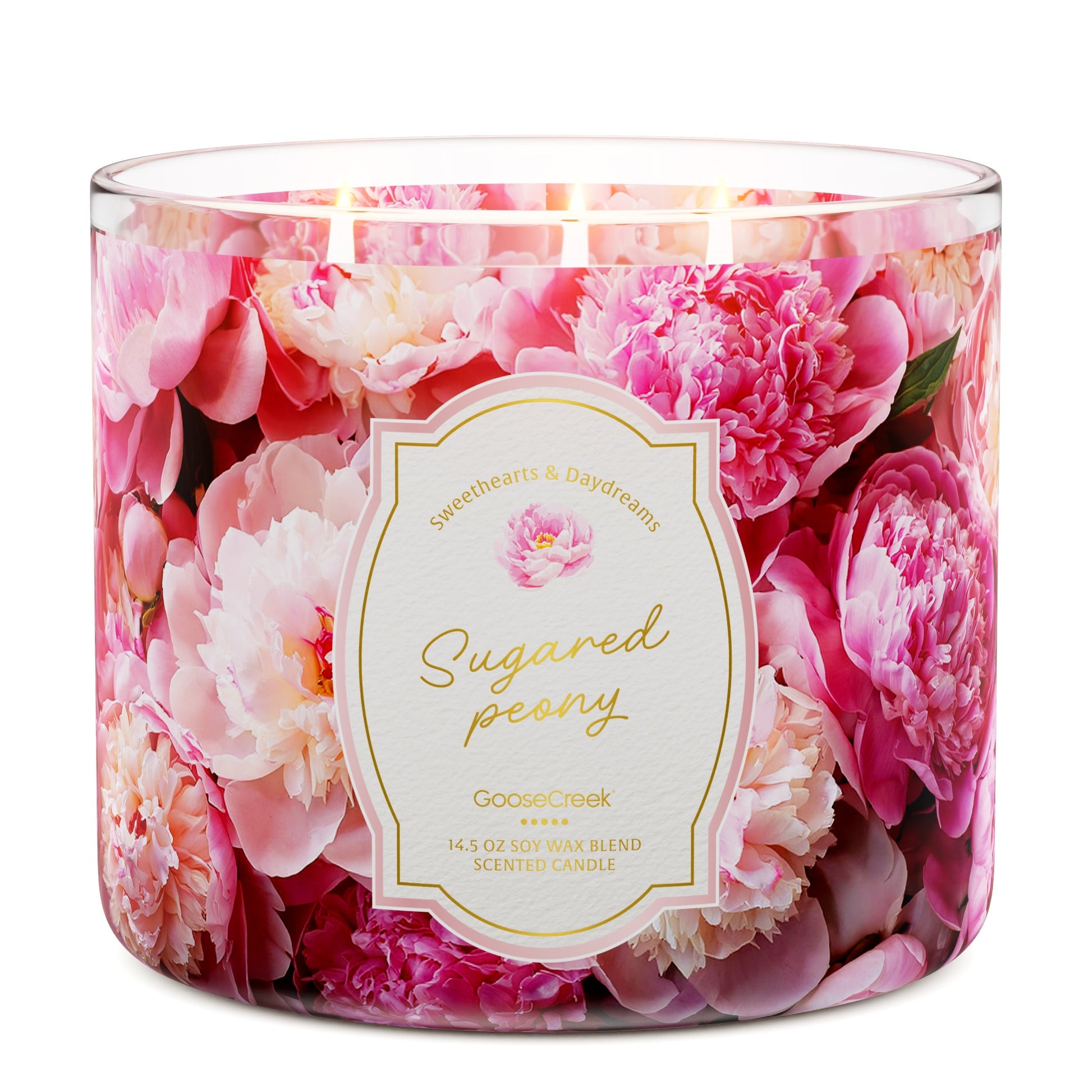 Sugared Peony 3-Wick Candle