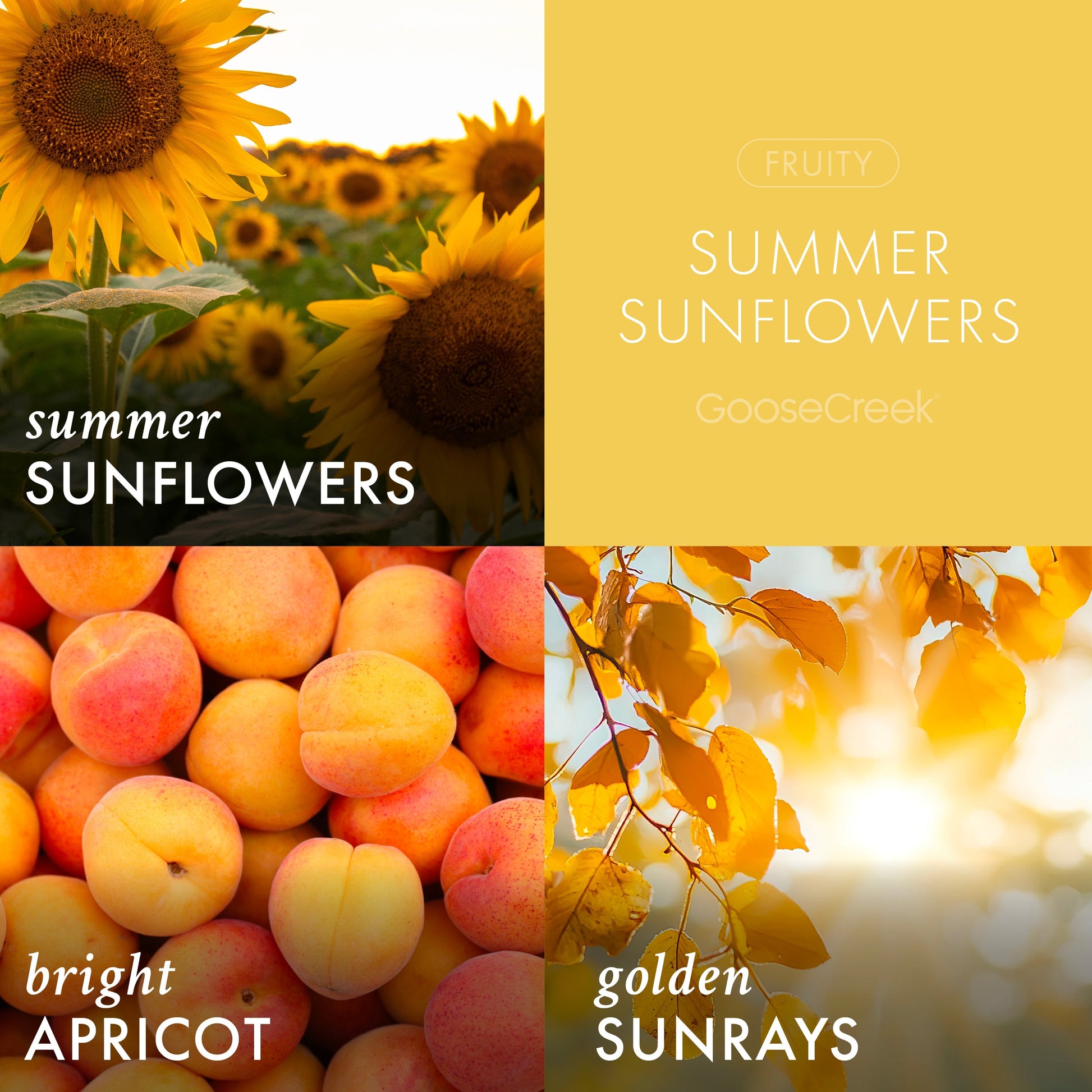 Summer Sunflowers 3-Wick Candle