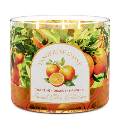 Tangerine Coast 3-Wick Candle