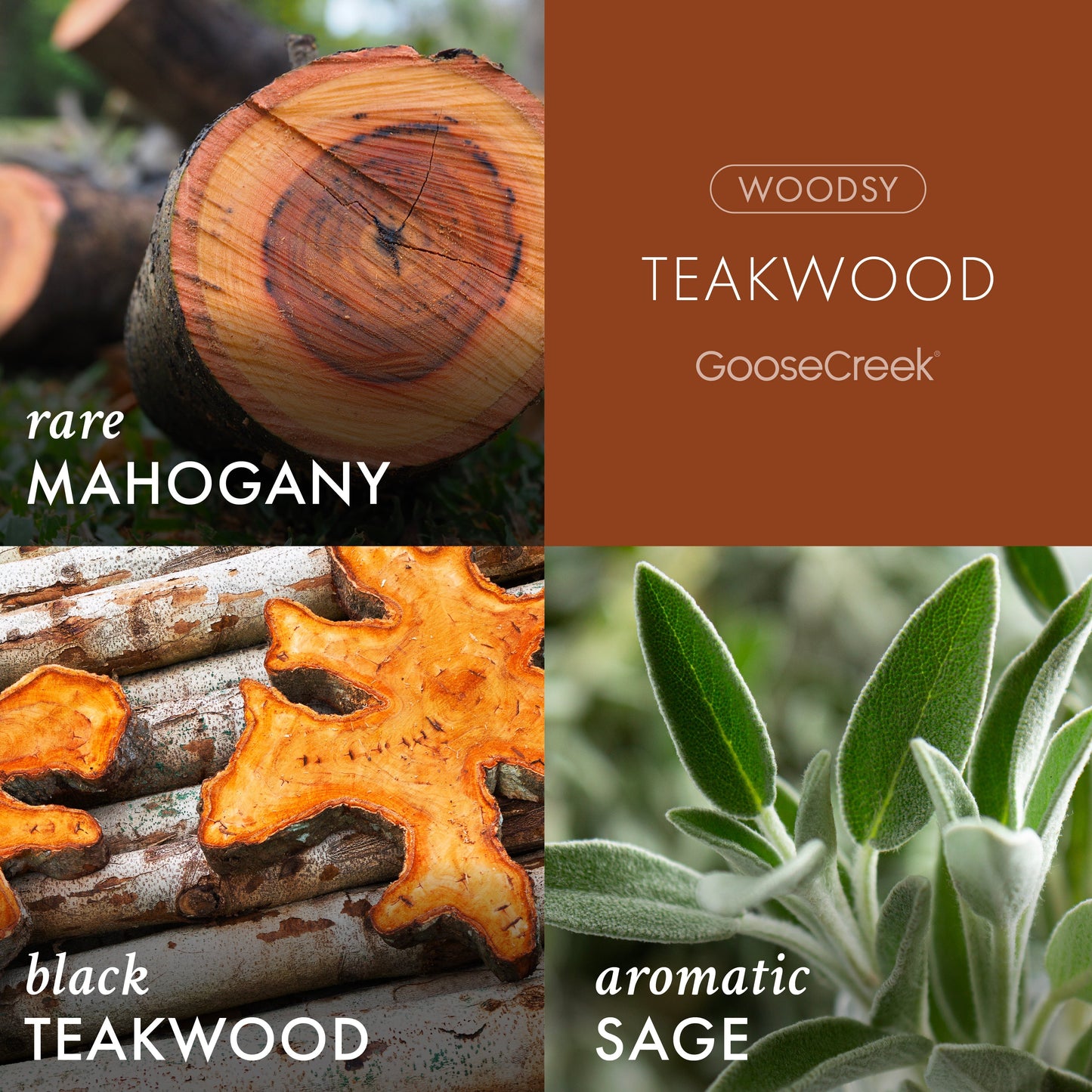 Teakwood Odor Eliminating 7oz Single Wick Candle