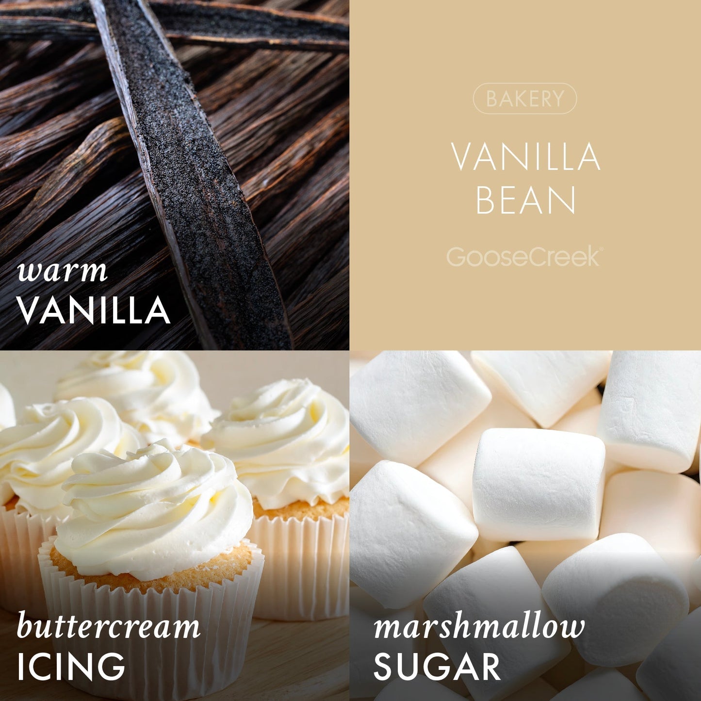 Vanilla Bean Wax Melt