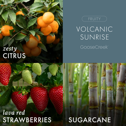 Volcanic Sunrise 3-Wick Candle