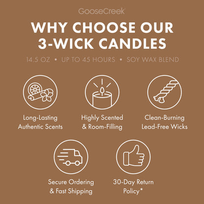 Warm Coconut Sands 3-Wick Candle