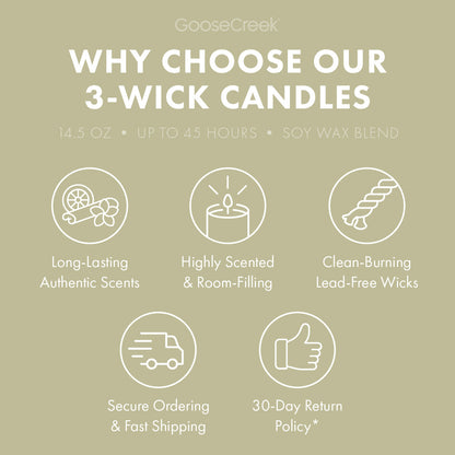 Warm & Welcome Odor Eliminating 3-Wick Candle