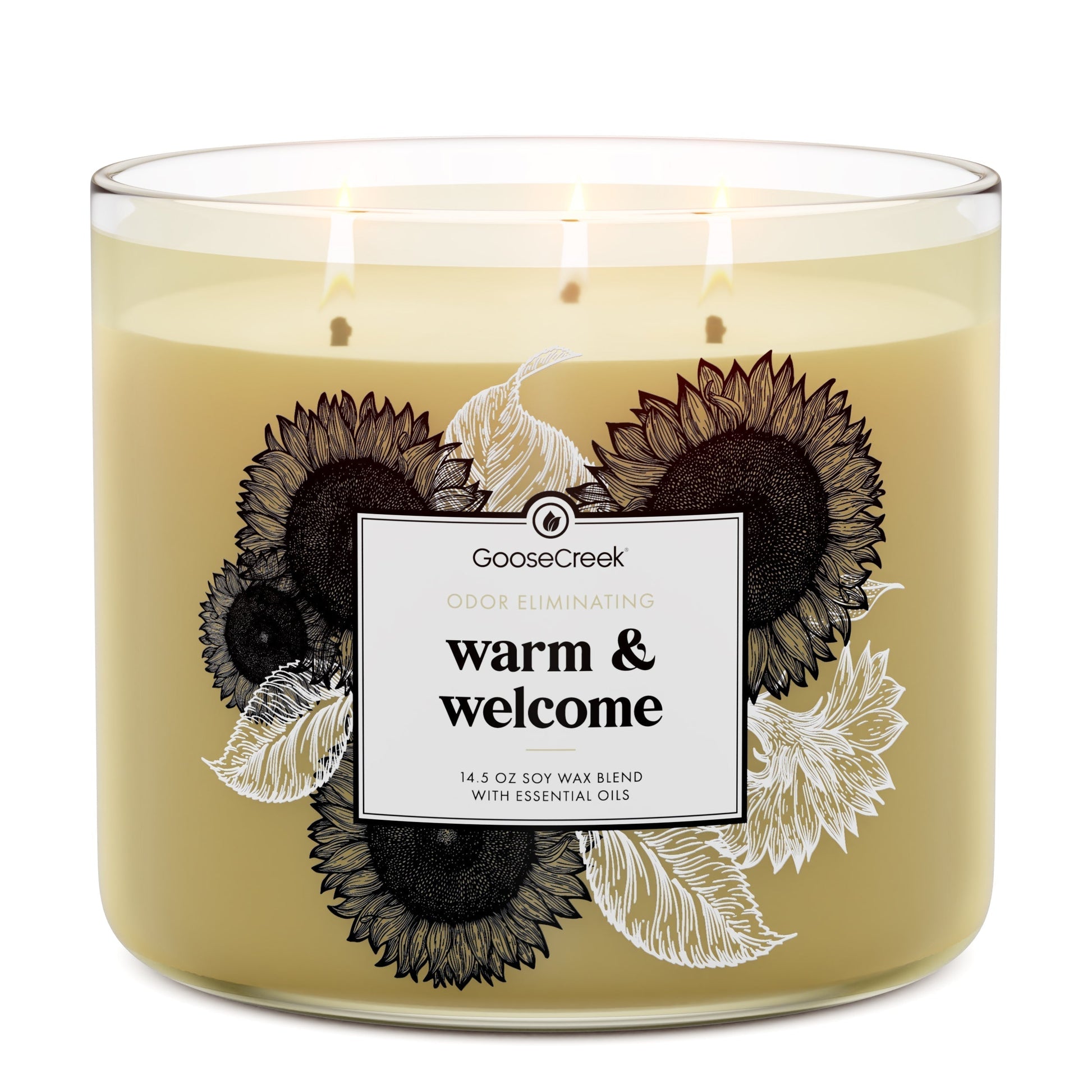 Warm & Welcome Odor Eliminating 3-Wick Candle