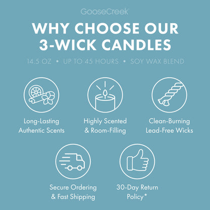 Waves & Wanderlust 3-Wick Candle